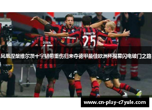 凤凰涅槃维尔茨十字韧带重伤归来夺德甲最佳欧洲杯揭幕闪电破门之路
